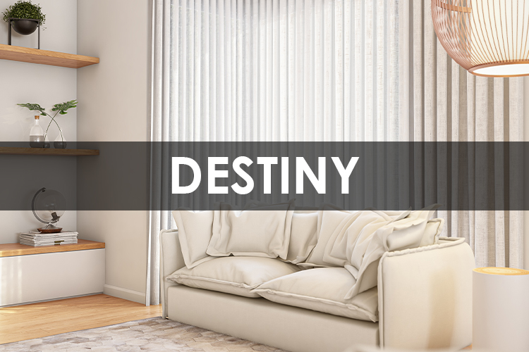 DESTINY.jpg